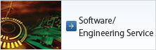 Software/ Engineering Service