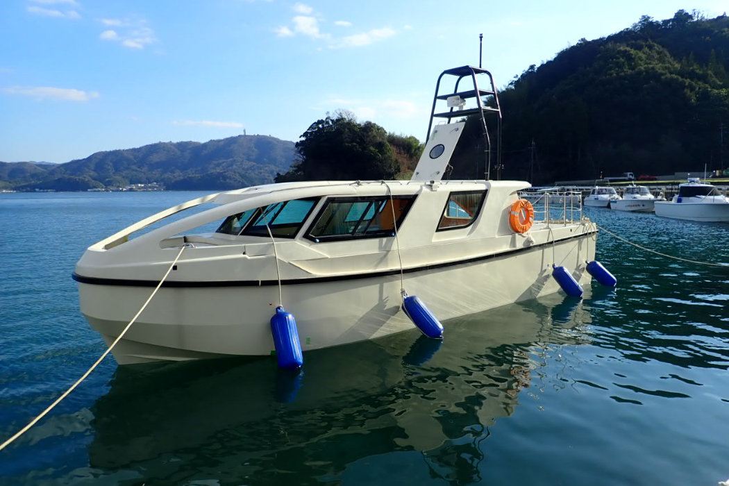 Li-B USV (Electric Powered USV)